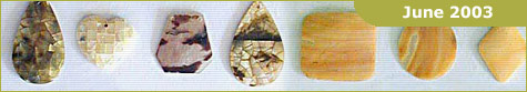 Shells Components and pendants